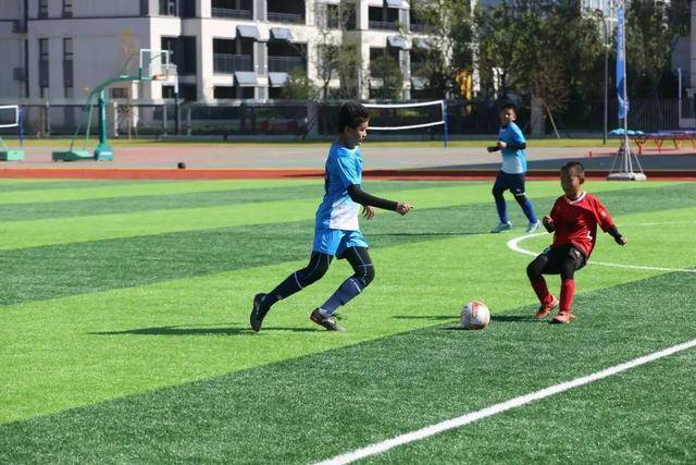 字母哥36+16雄鹿力克老鹰 鹈鹕负绿军排名告急